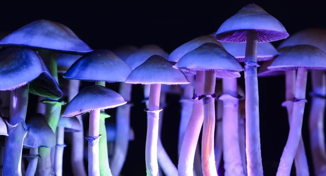 Puerto Rico Governor Signs Psychedelics Executive Order