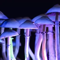 Puerto Rico Governor Signs Psychedelics Executive Order