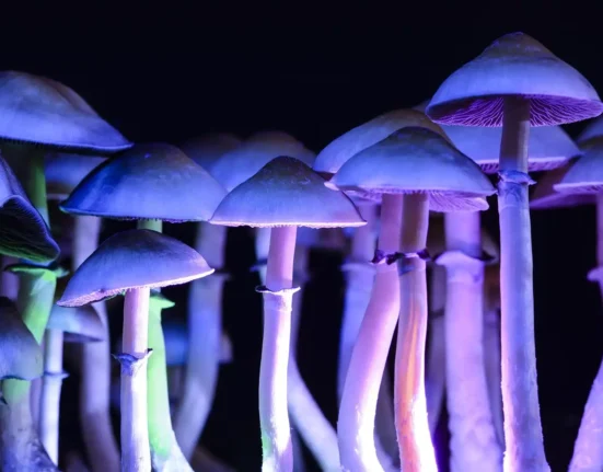 Puerto Rico Governor Signs Psychedelics Executive Order