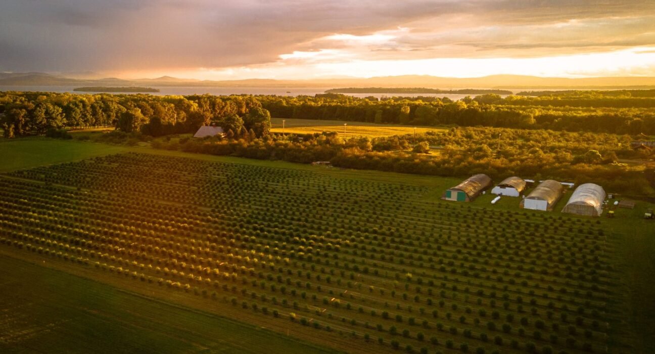 Regenerative Cannabis Farming: Living Soil, Sun-Grown Weed and No Federal Help