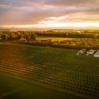 Regenerative Cannabis Farming: Living Soil, Sun-Grown Weed and No Federal Help