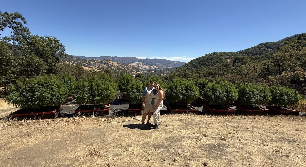 The Future of Cannabis Tourism Starts on the Farm