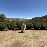 The Future of Cannabis Tourism Starts on the Farm