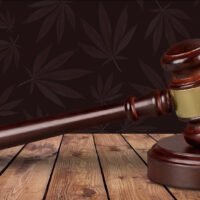 Virginia Hemp THC Rules Take Effect After Judge Declines Delay Request