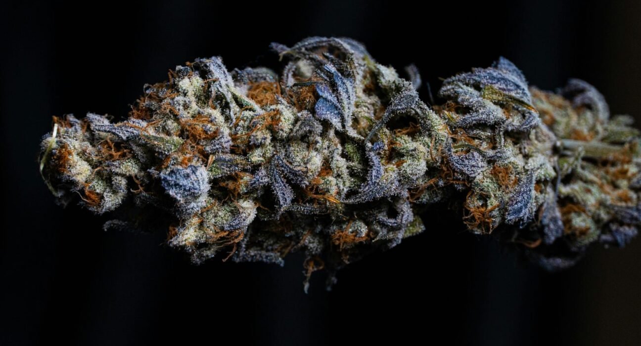 Weed Can't Get Past 34%. The Labels Go to 42%. The System Rewards the Lie.