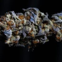 Weed Can't Get Past 34%. The Labels Go to 42%. The System Rewards the Lie.