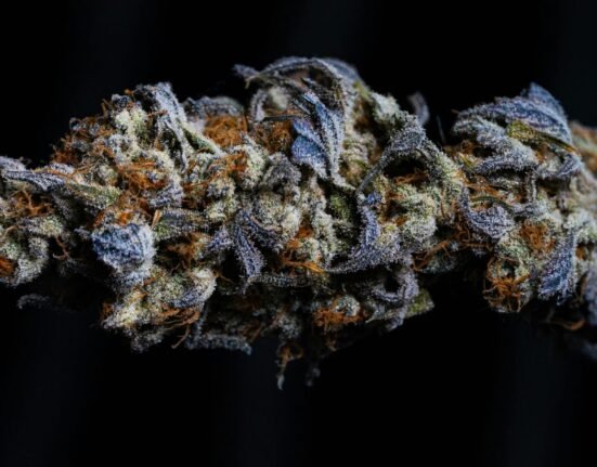 Weed Can't Get Past 34%. The Labels Go to 42%. The System Rewards the Lie.