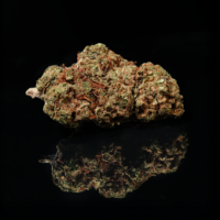 Who Names Cannabis Strains? Breeders on Genetics, Branding and Rights