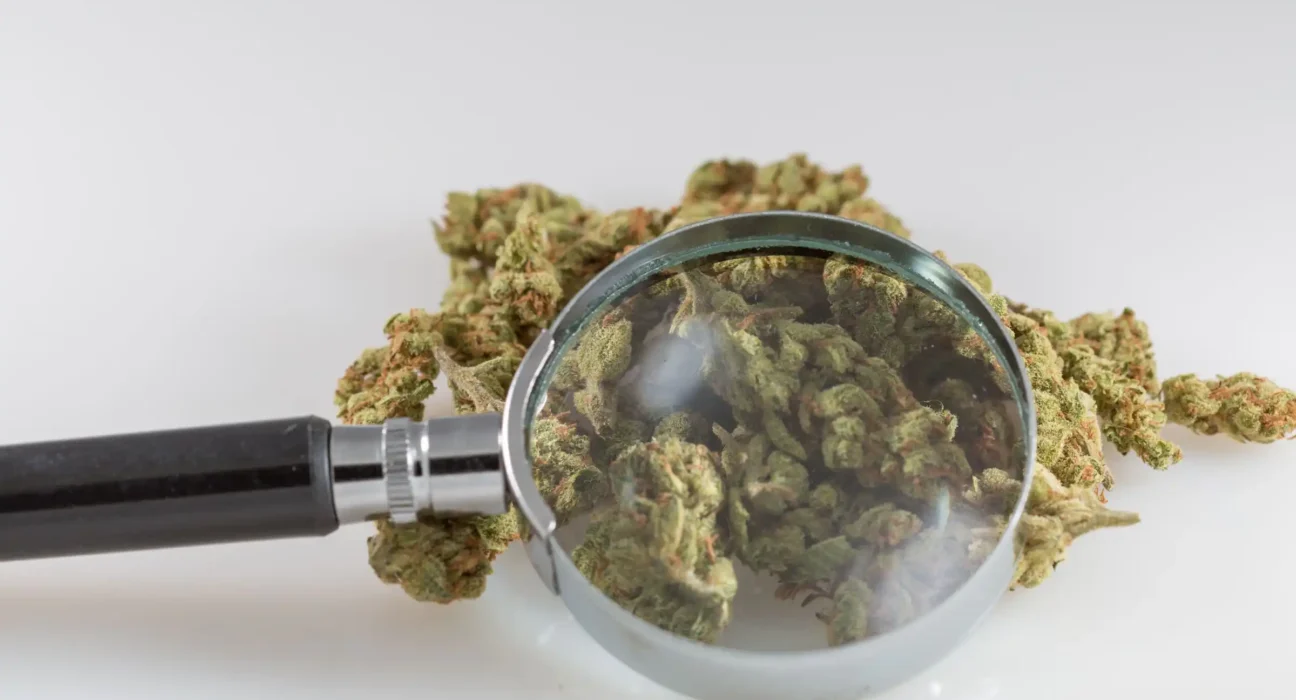 Colorado Regulators Under Fire For Delays In Warning Public About Reports Of Cannabis Products With Adverse Effects