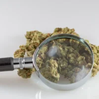 Colorado Regulators Under Fire For Delays In Warning Public About Reports Of Cannabis Products With Adverse Effects