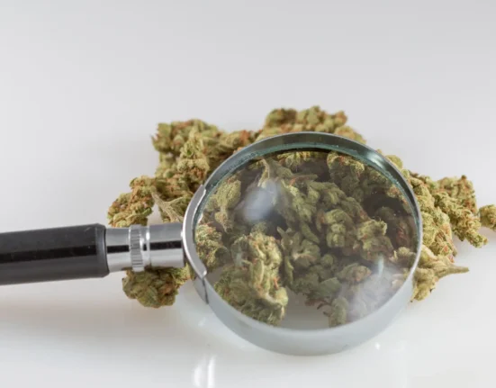 Colorado Regulators Under Fire For Delays In Warning Public About Reports Of Cannabis Products With Adverse Effects