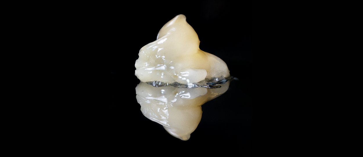 Fresh Frozen Cannabis: How Live Rosin Is Made and Why It Costs So Much
