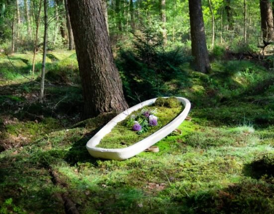 mushroom coffin