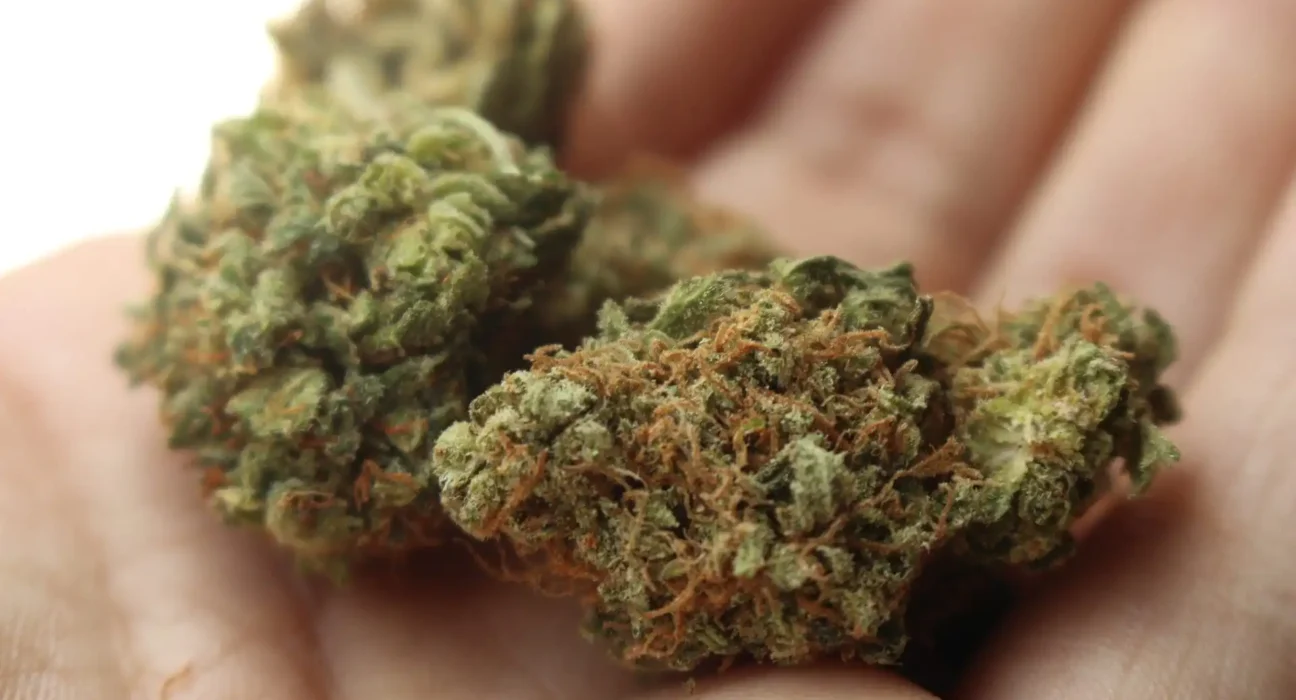 Newly Released VA Records Raise Questions About How 'Cannabis Use Disorder' Diagnoses Are Affecting Veterans (Op-Ed)