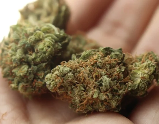 Newly Released VA Records Raise Questions About How 'Cannabis Use Disorder' Diagnoses Are Affecting Veterans (Op-Ed)