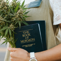 One of the ‘Mormon Wives’ Chooses Cannabis: Here’s What the Church Actually Says