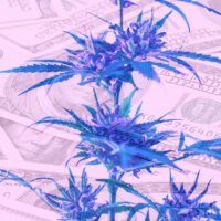 Report: Cannabis Excise Taxes Totaled Over $3.5 Billion Across 30 U.S. States Last Year