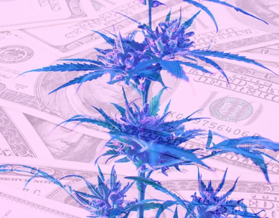 Report: Cannabis Excise Taxes Totaled Over $3.5 Billion Across 30 U.S. States Last Year