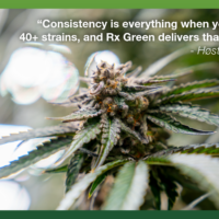 Rx Green Technologies Doubles Down on Domestic Coco Production Amid Supply Chain Shifts