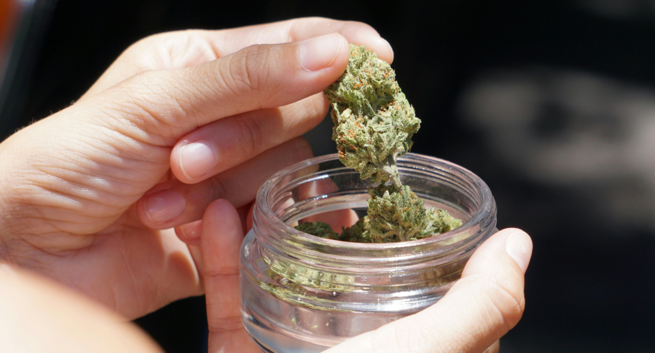 cbd flower spain