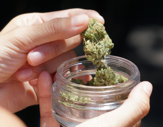 cbd flower spain