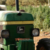 European Cannabis Photo Essay: Mallorca, Lisbon and the Swiss Alps