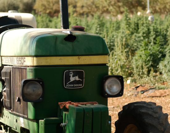 European Cannabis Photo Essay: Mallorca, Lisbon and the Swiss Alps