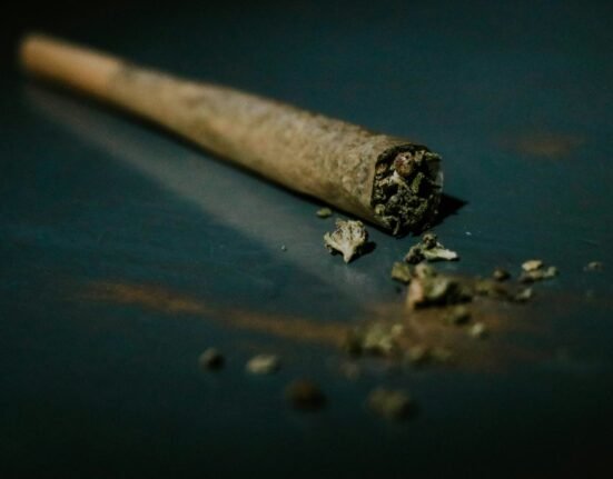 Most Pre-Rolls Suck. Josh Kesselman Thinks He Found the Fix, and He Wants the Industry to Copy Him.