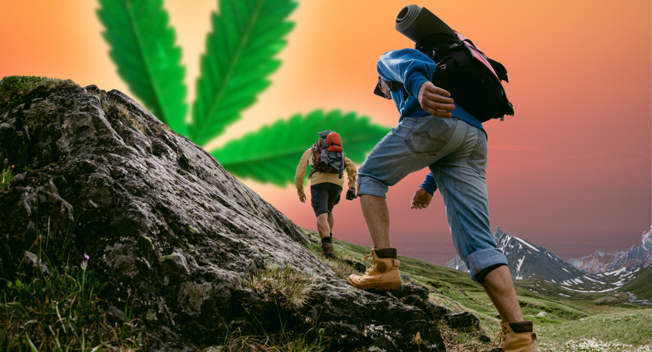 hikers cannabis