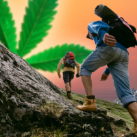 hikers cannabis