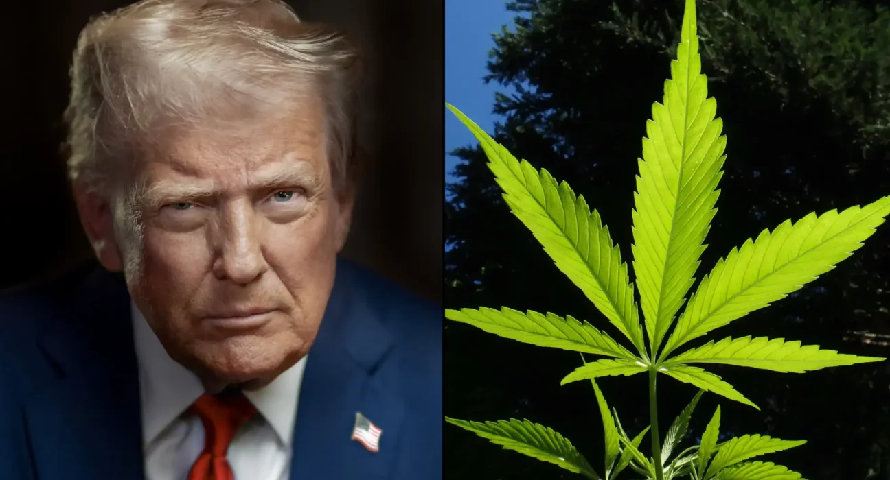 Trump Complains That Democratic-Run Cities Smell Like Marijuana