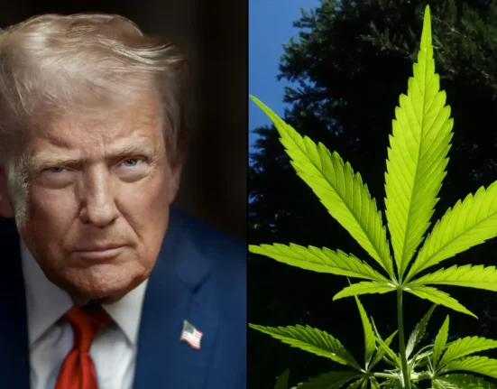 Trump Complains That Democratic-Run Cities Smell Like Marijuana