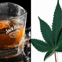 Why Is Marijuana Regulated More Strictly Than Alcohol, Even Though It Is Safer To Use? (Op-Ed)