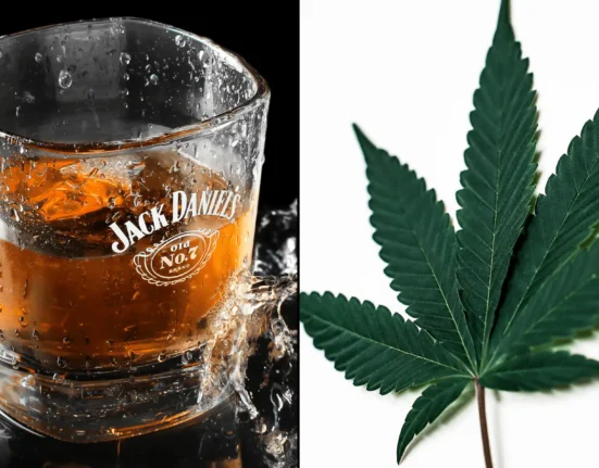 Why Is Marijuana Regulated More Strictly Than Alcohol, Even Though It Is Safer To Use? (Op-Ed)